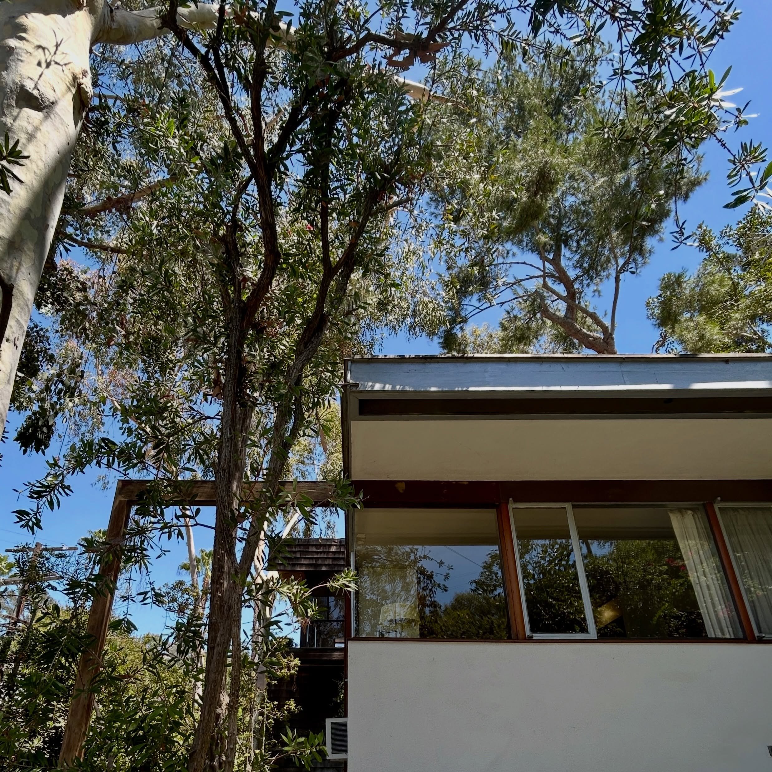 Silver Lake Sensations 

Thank you @cindyolnick for the extraordinary tour of the Reunion House and Neutra Office Building.

It was exciting to learn more about the Neutra family&rsquo;s multidimensional design legacy and the vision for the next chap