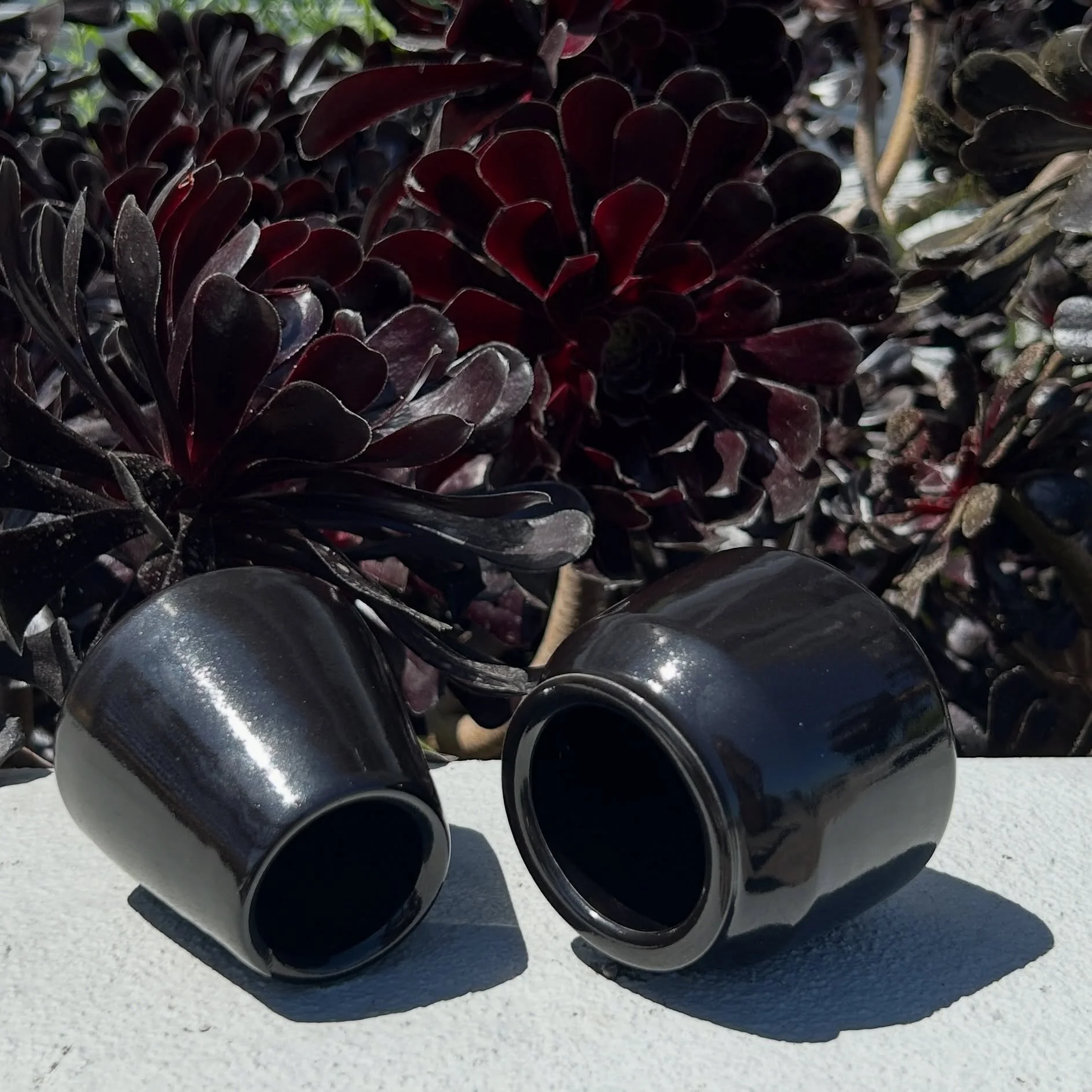 Dynamic Duo

Fresh out of the @gooddirtla oven

cjaceramics.com

#madeatgdla #ceramics #pottery #vases #dynamicduo