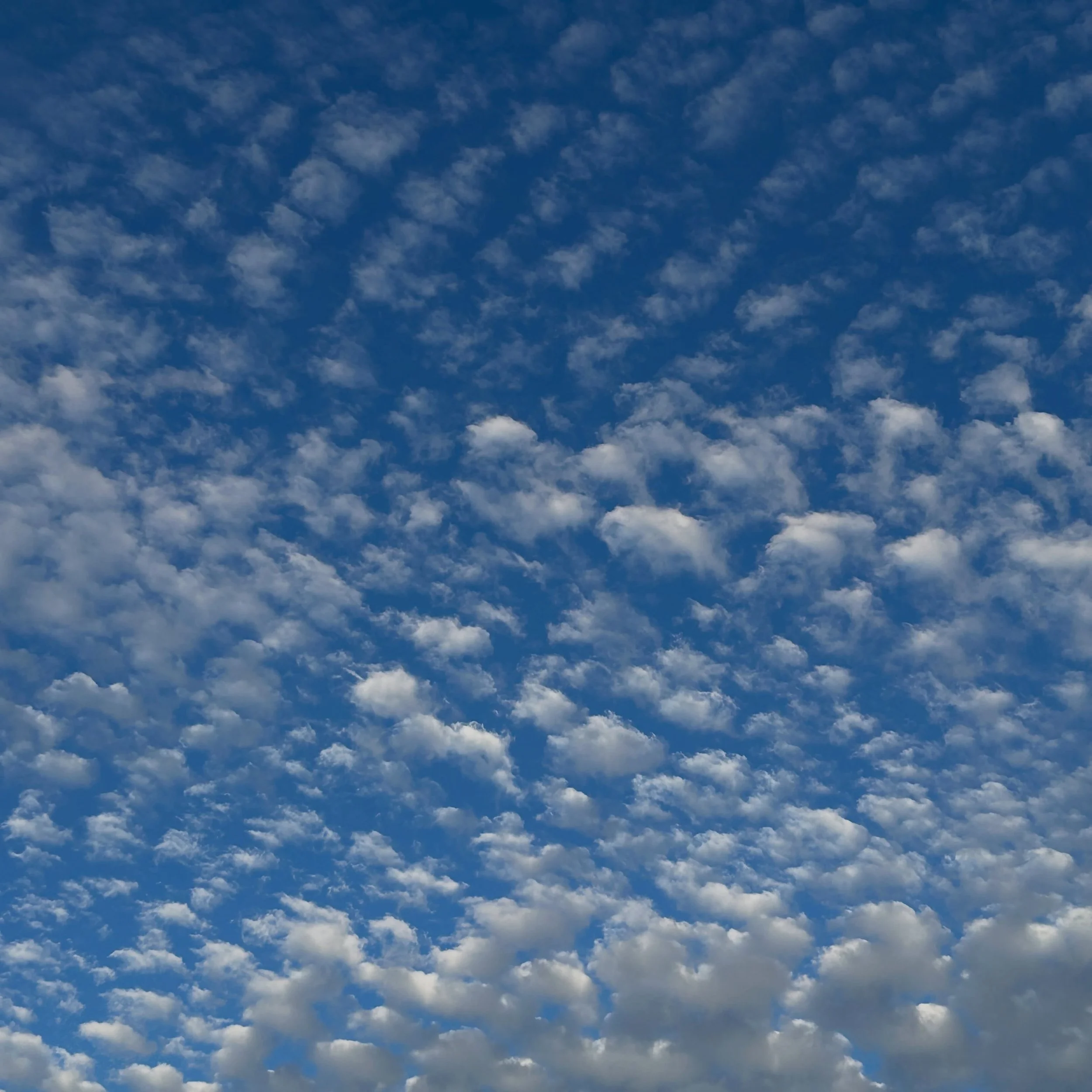Coalescing Possibilities 

#lookingup