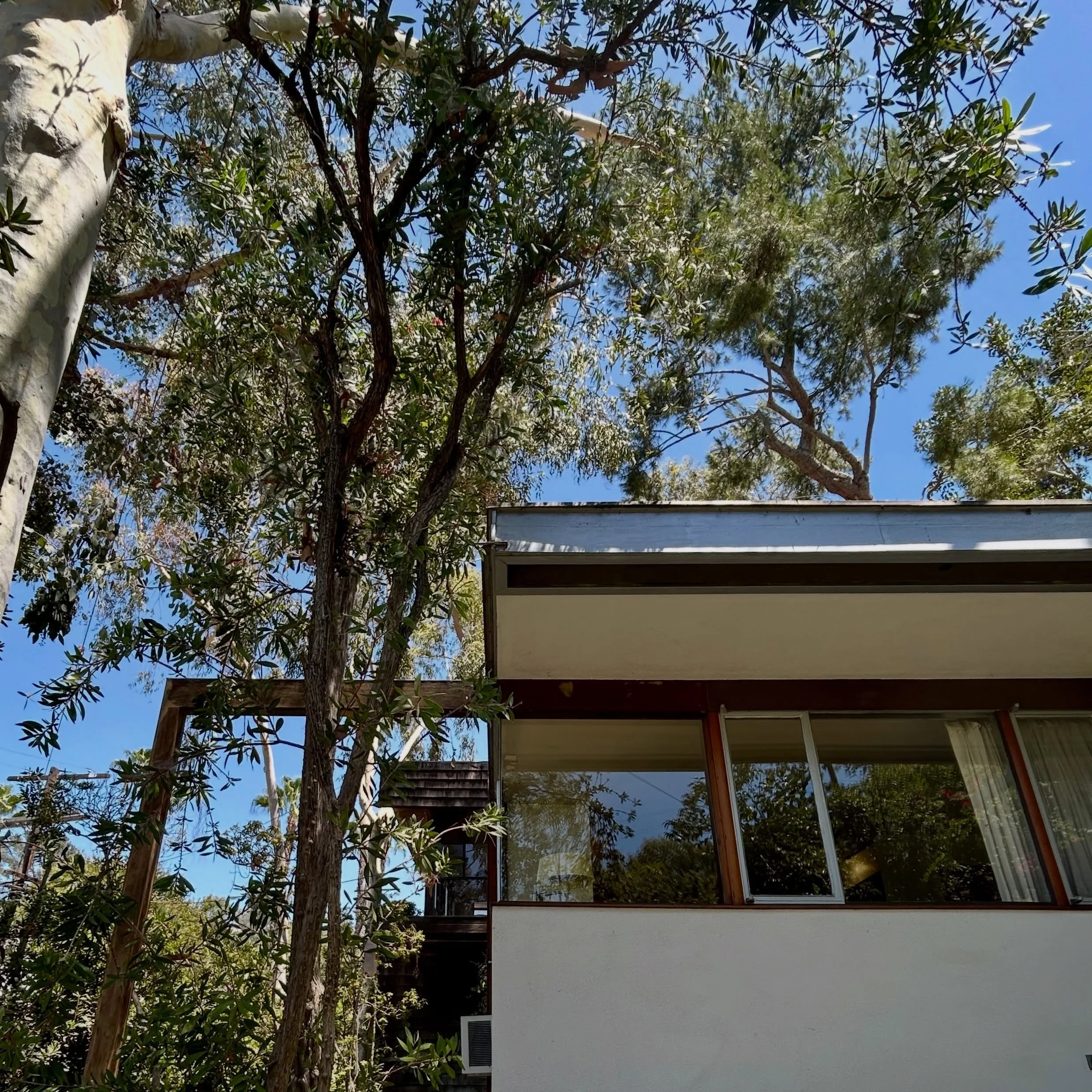 Silver Lake Sensations 

Thank you @cindyolnick for the extraordinary tour of the Reunion House and Neutra Office Building.

It was exciting to learn more about the Neutra family&rsquo;s multidimensional design legacy and the vision for the next chap