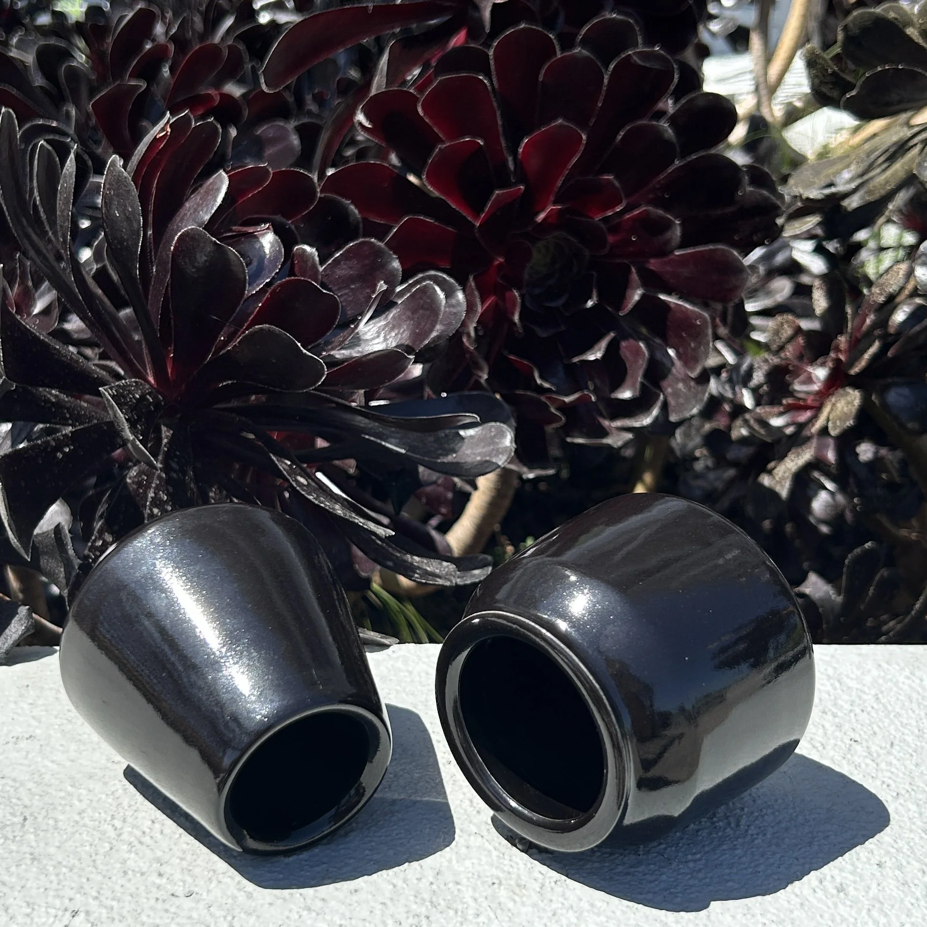CJA_Ceramics_Dynamic_Duo_02.jpg