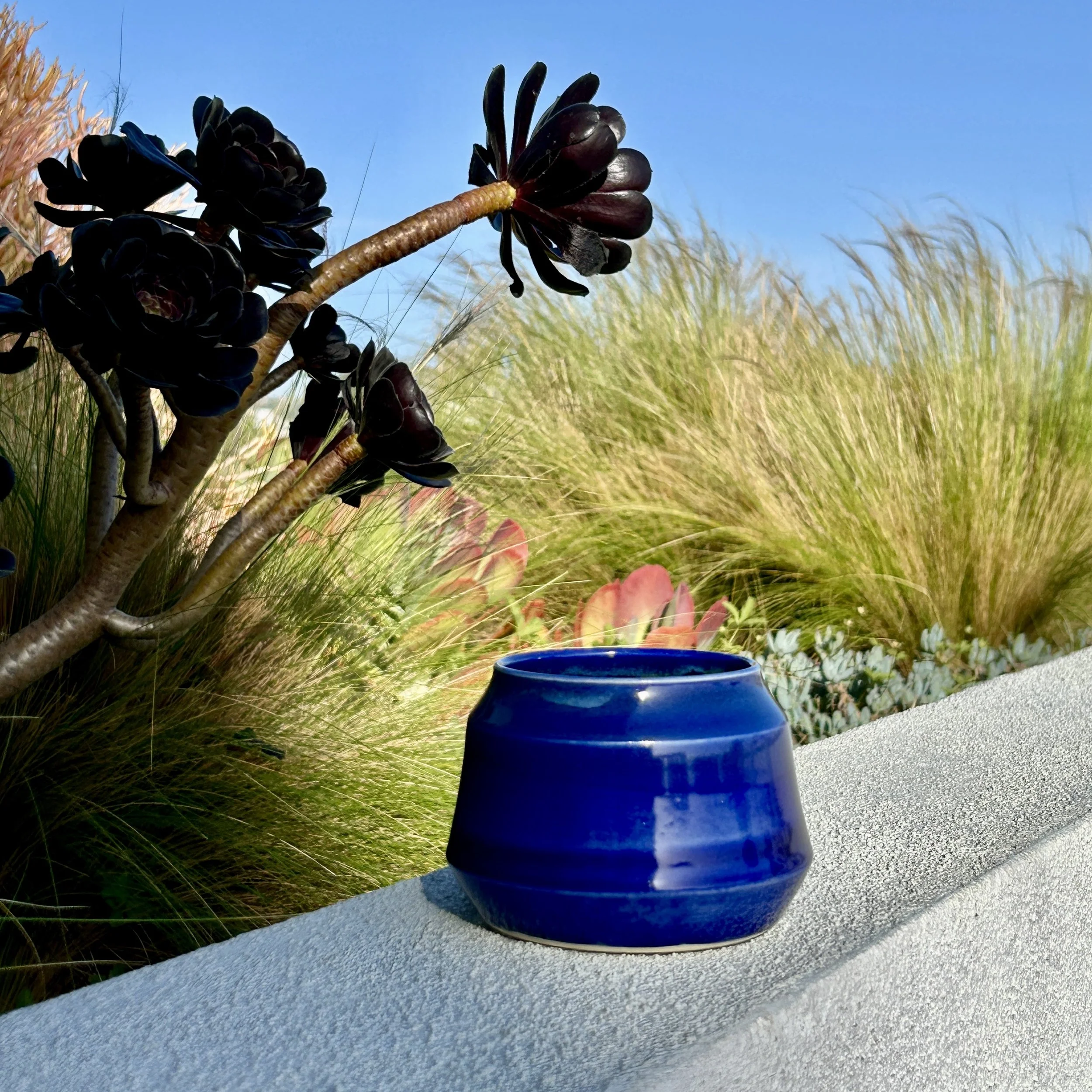 COBALT TIDE 1