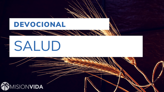 salud-2-cover-devocionales-2017-11-mision_vida.png