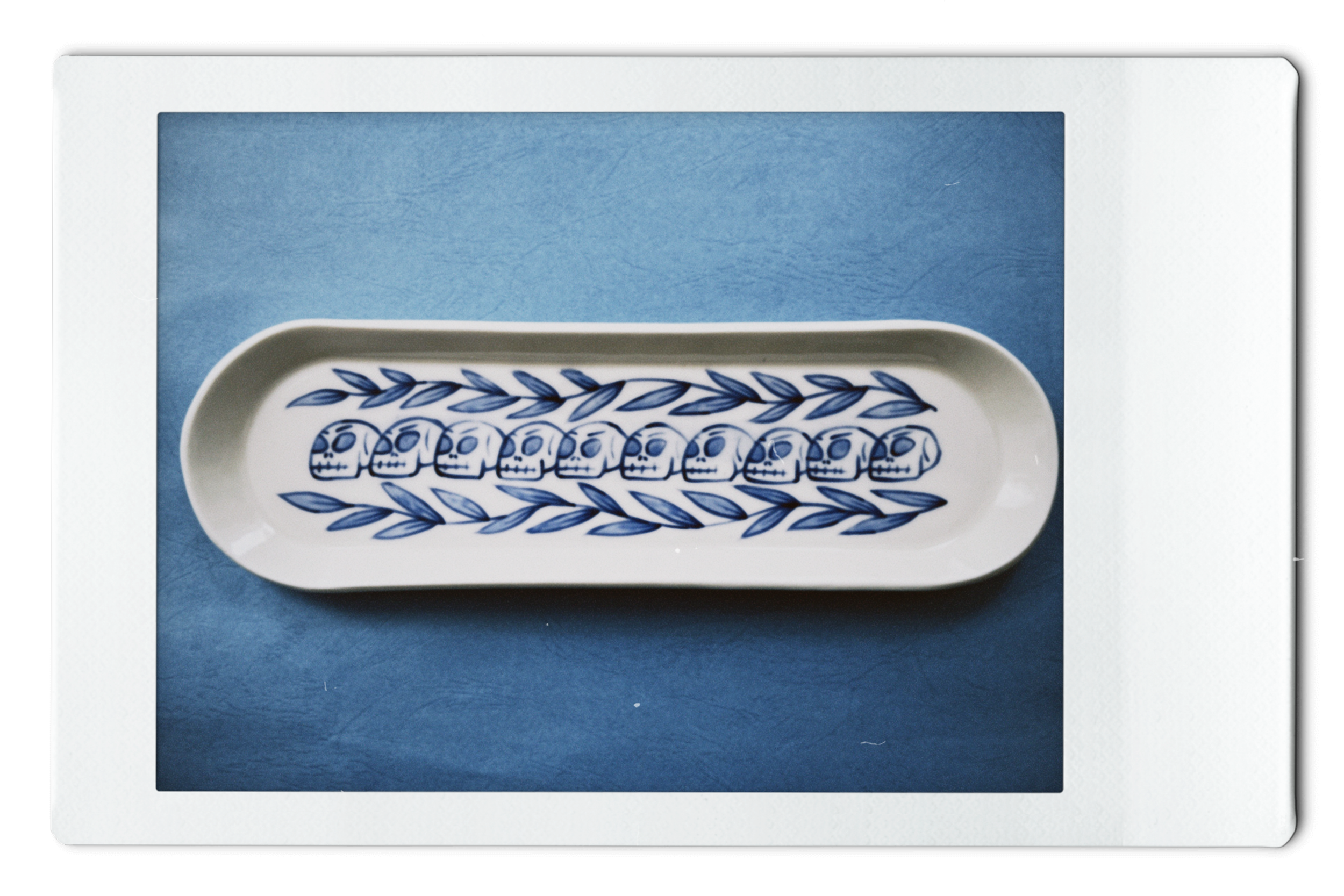 BLUE SKULL PLANT 11X3