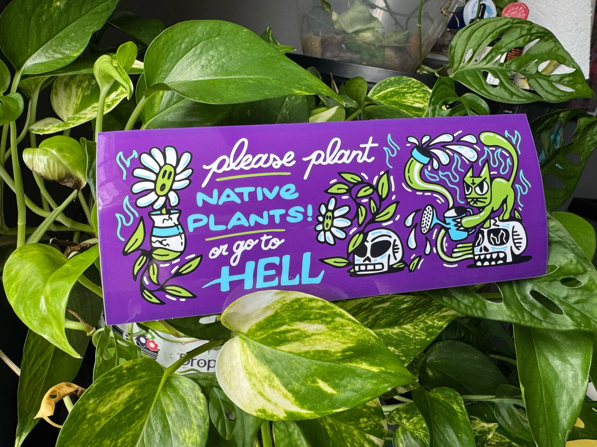 PLANT NATIVE PLANTS | 7.5x3 STICKER