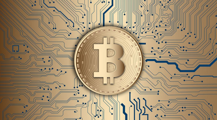 Comeback Player of the Year: How Wooter Became The First Sports Apparel Company To Accept Bitcoin