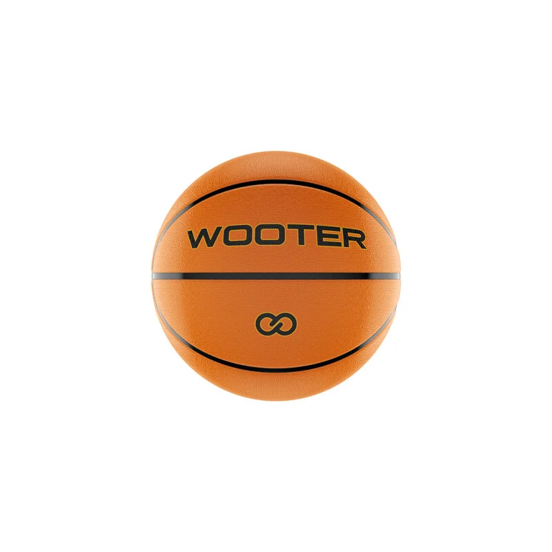 Custom Basketballs, Premier Quality, No Minimum