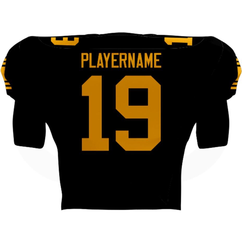 Steelers_Back.JPG