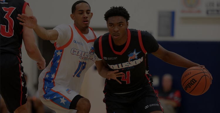 Wooter - Dark Banner copy.png