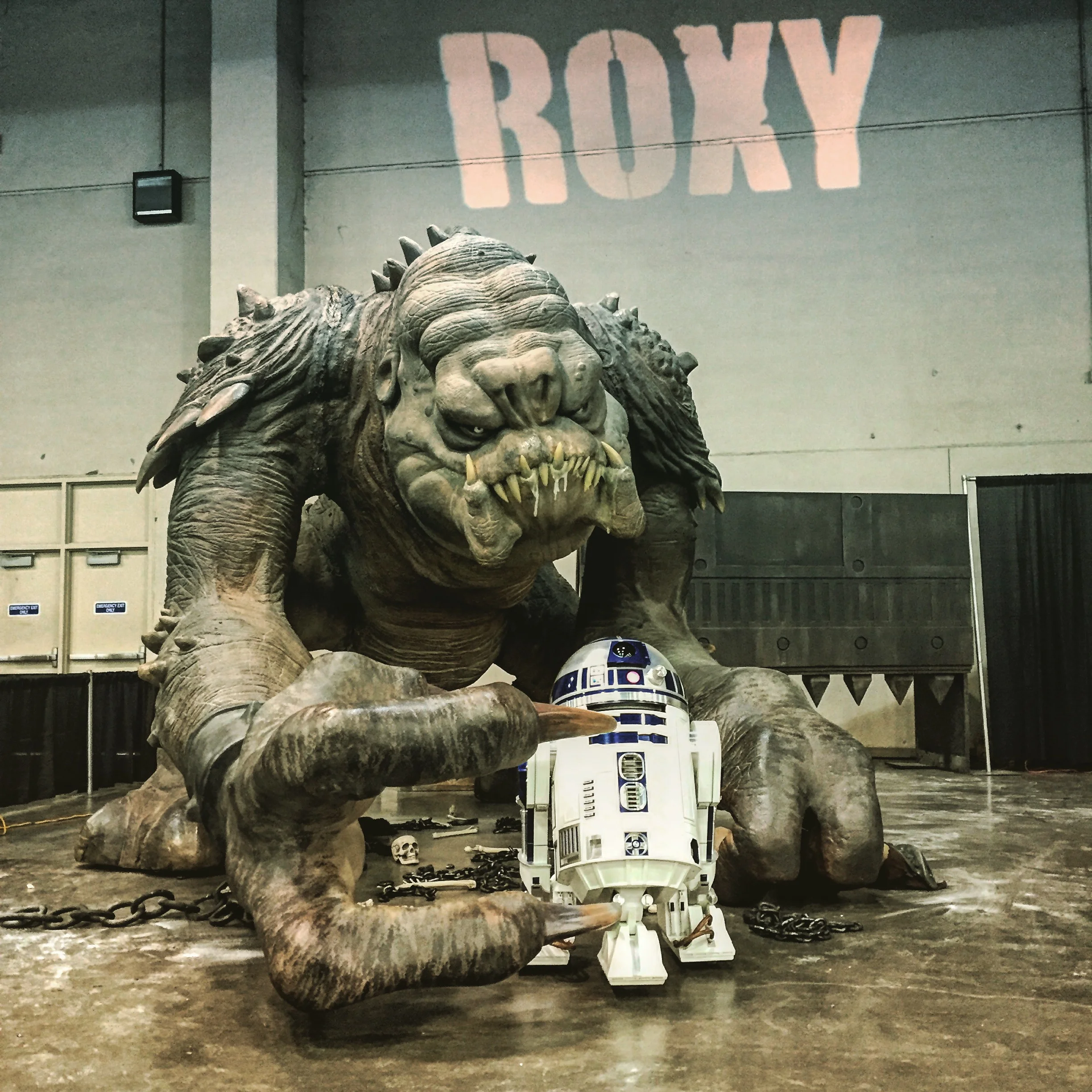 R2 & Roxy