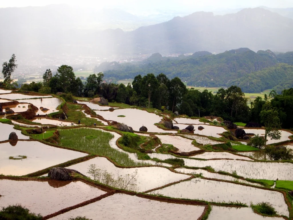 thumb_Indonesia 2181_1024.jpg