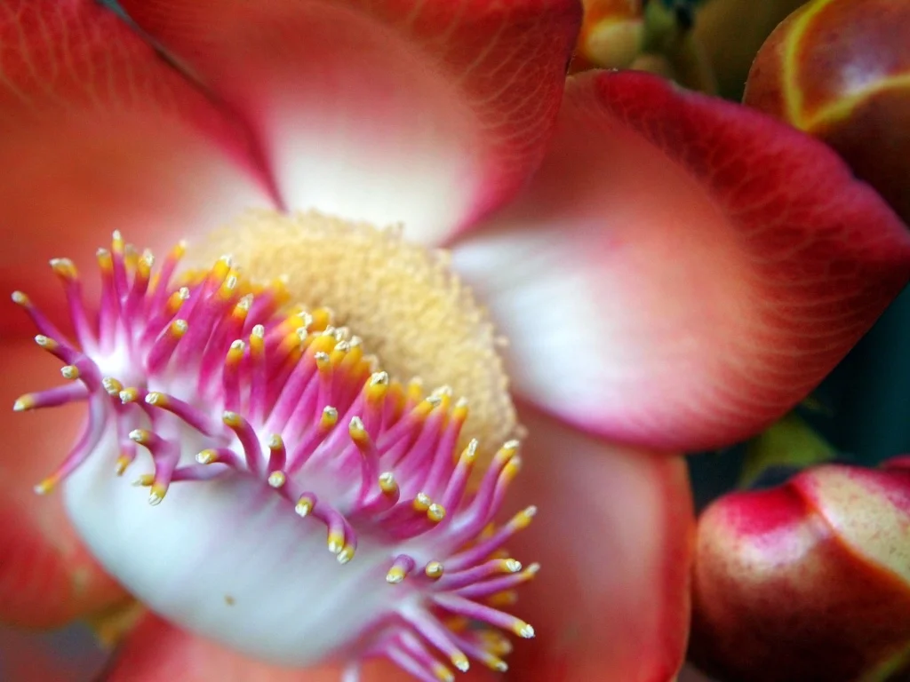 thumb_Thailand 440_1024.jpg