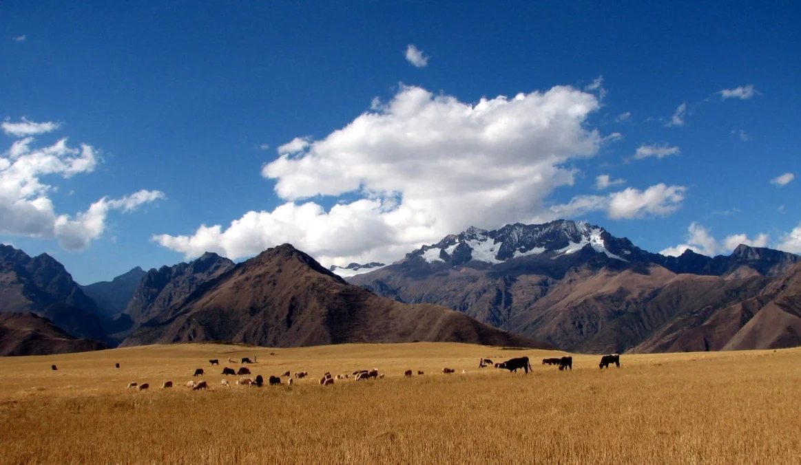 thumb_Peru 261_1024.jpg