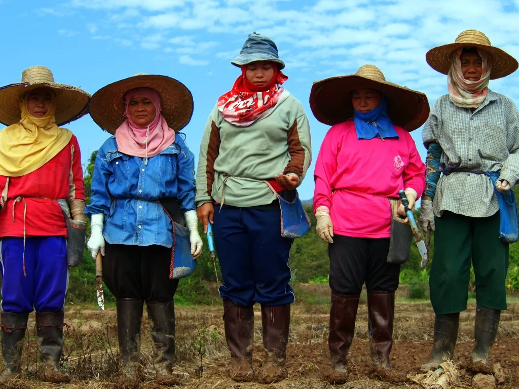 thumb_Thailand 800_1024.jpg