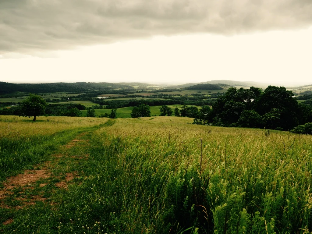 Brooding storm clouds scrape across sky meadows.