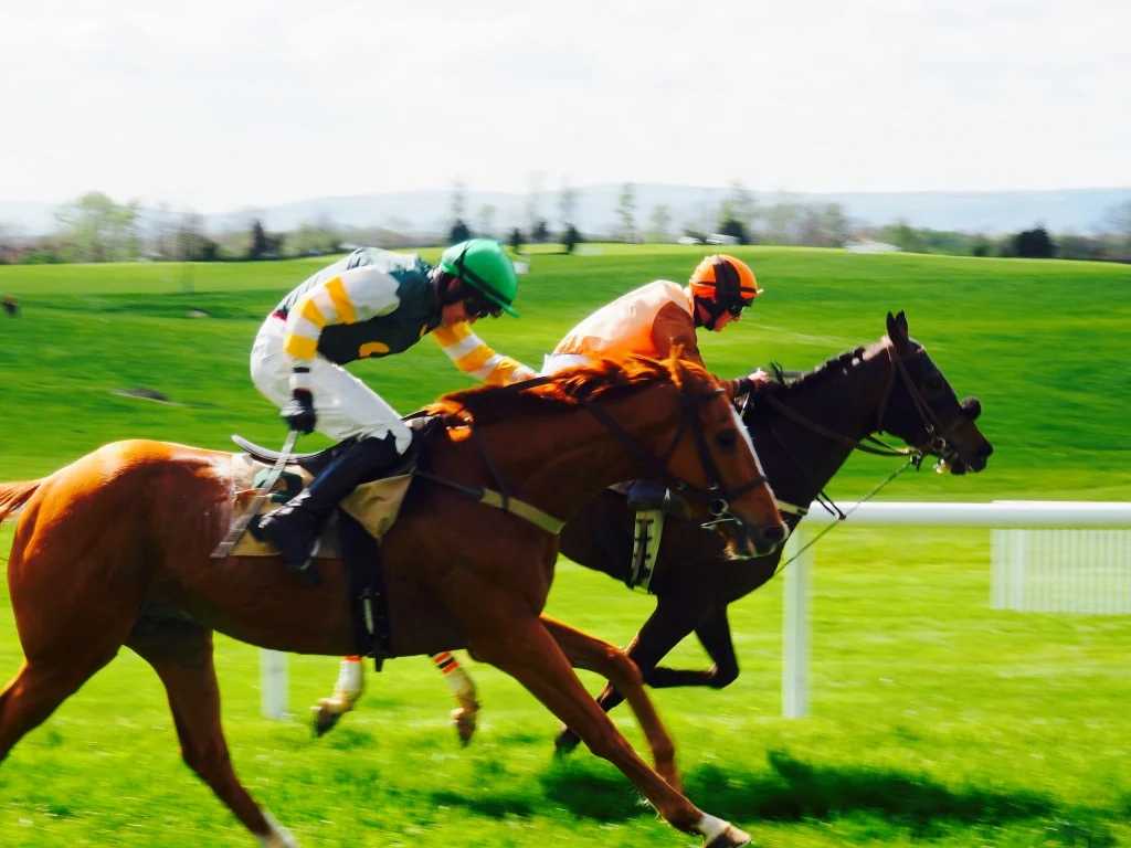 A blue-bird day at the Middleburg races.