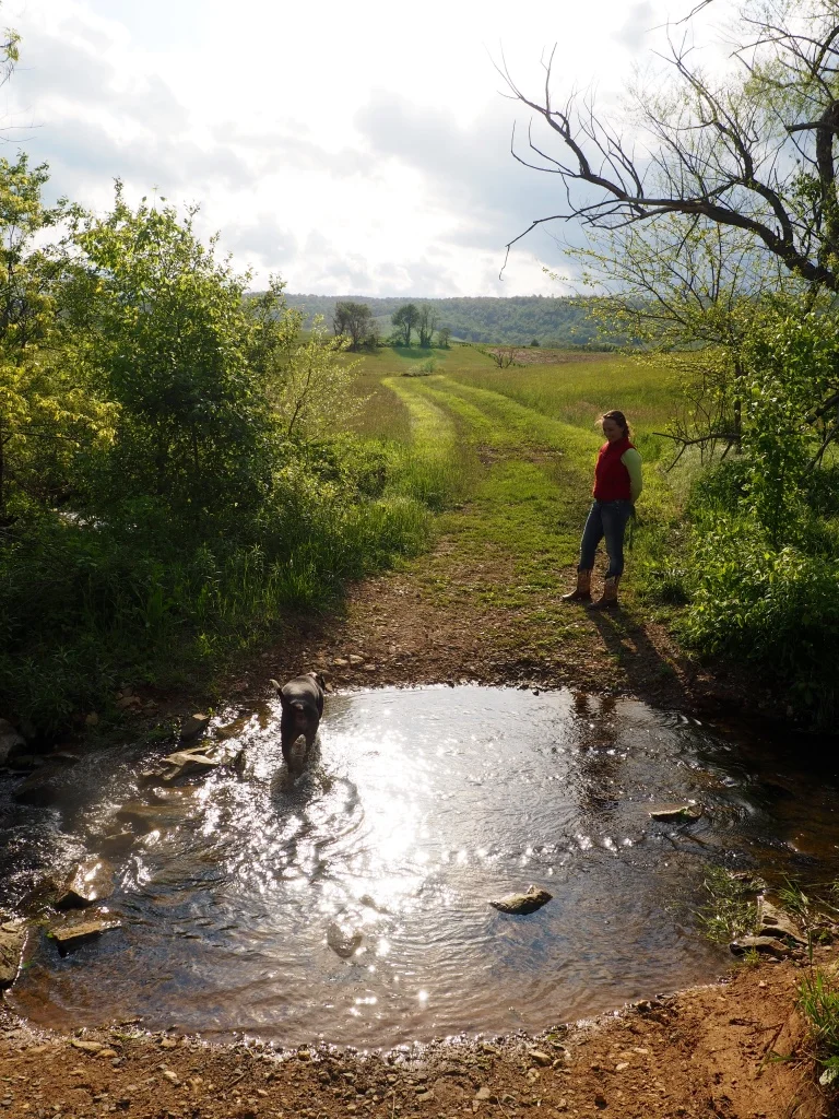 Afternoon stroll over the hills with Catheryne and Nina.