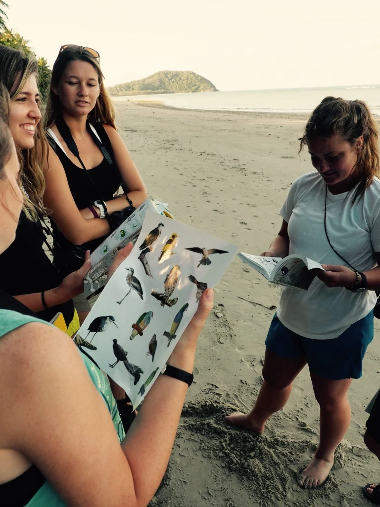 Fun with ornithology on Cape Trib