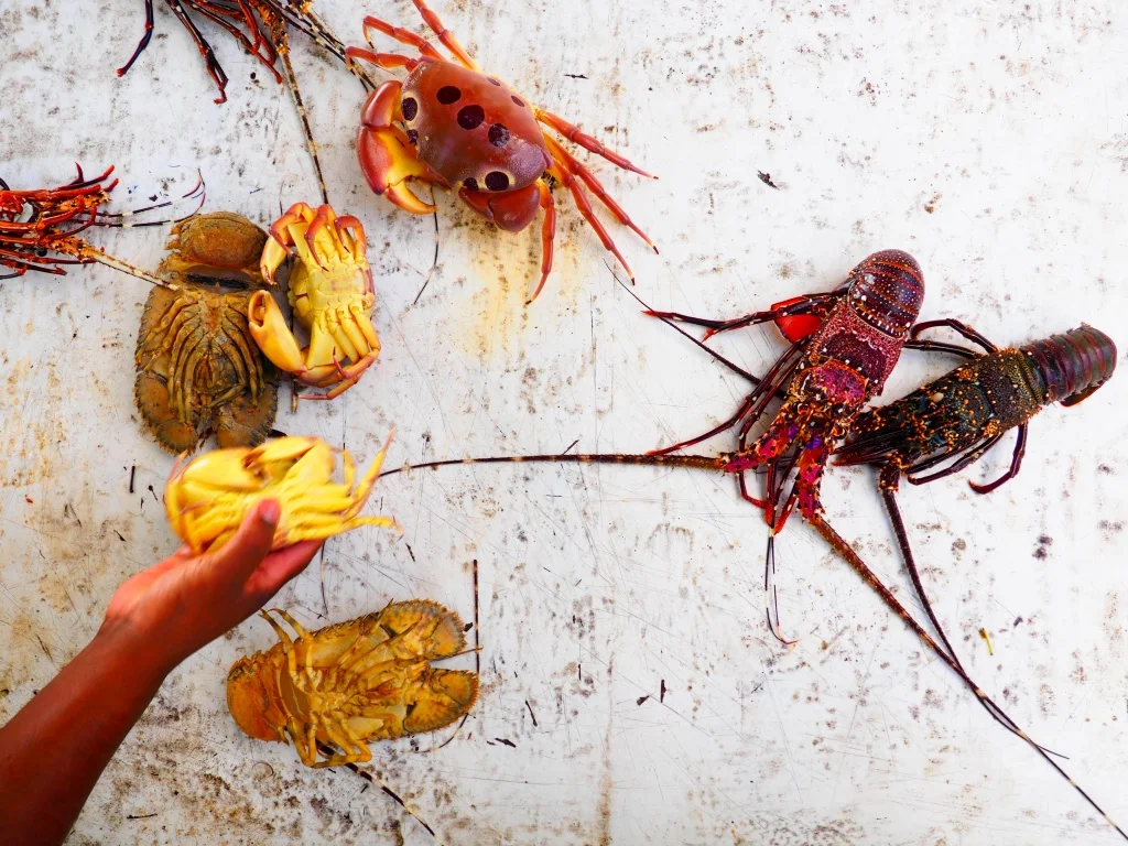 Colourful crustaceans for sale in Grand Bai.&nbsp;