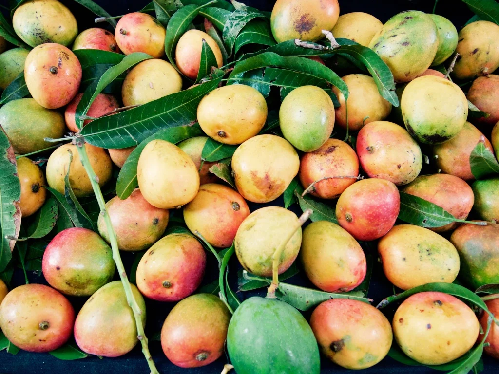 October is the start of mango season!
