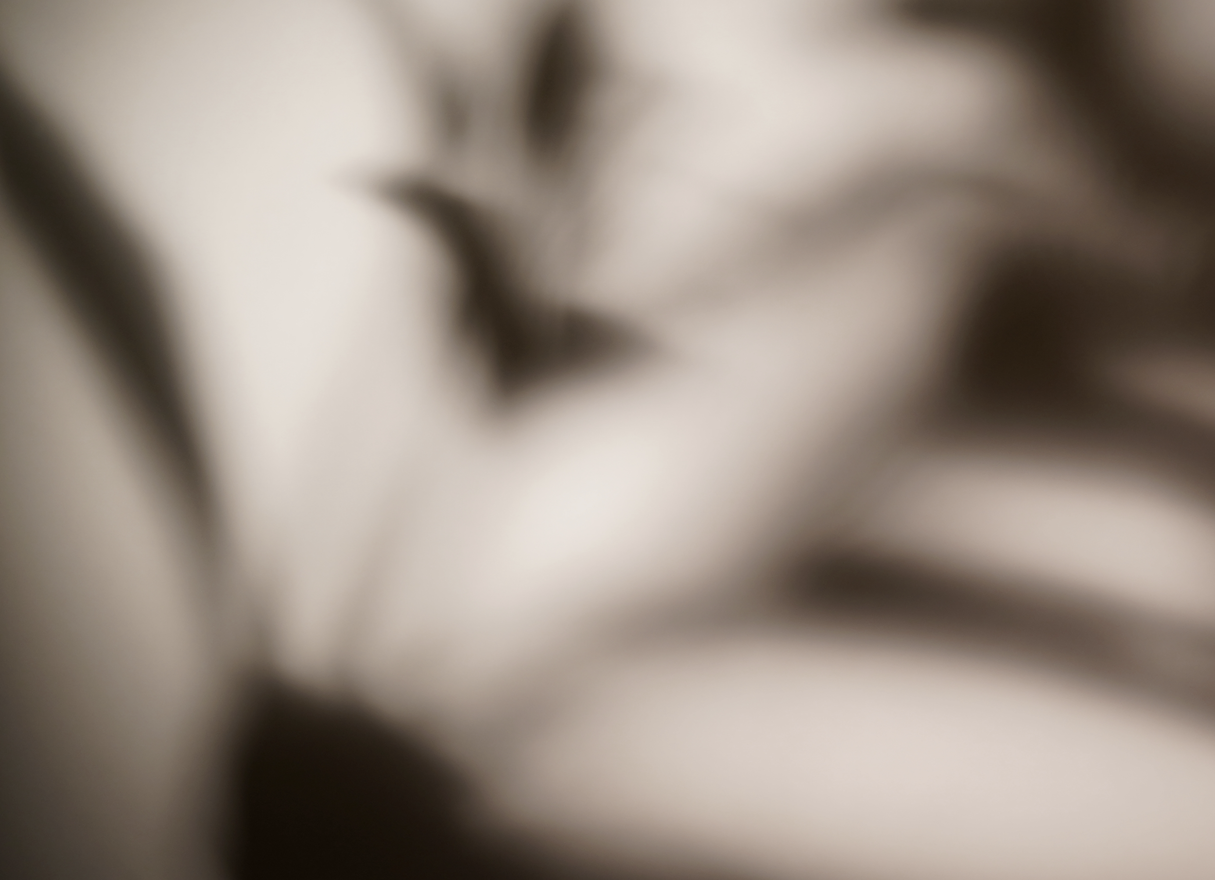 Screenshot 2024-01-24 at 8.51.28 PM.png