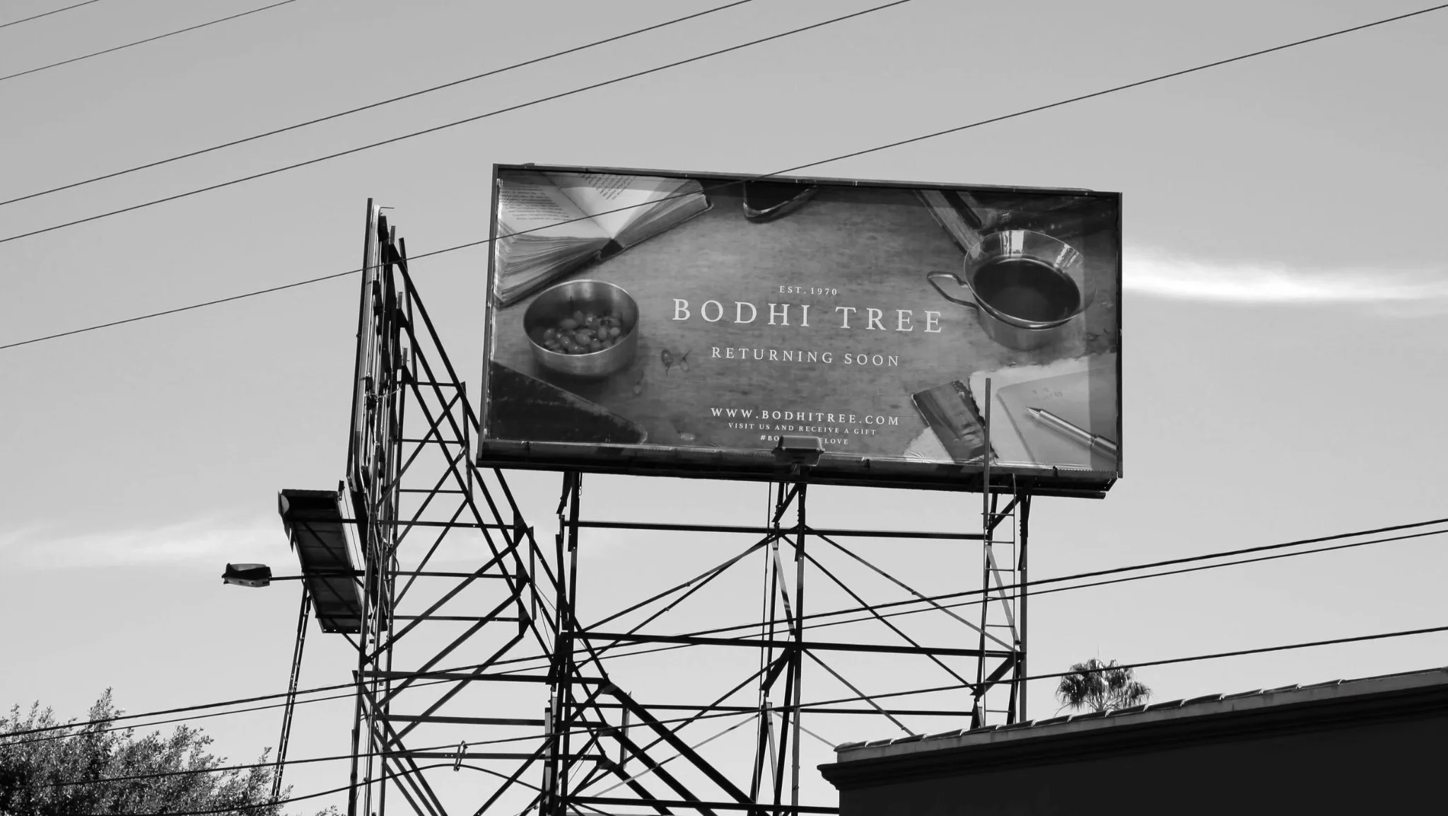 image-asset (2).jpeg