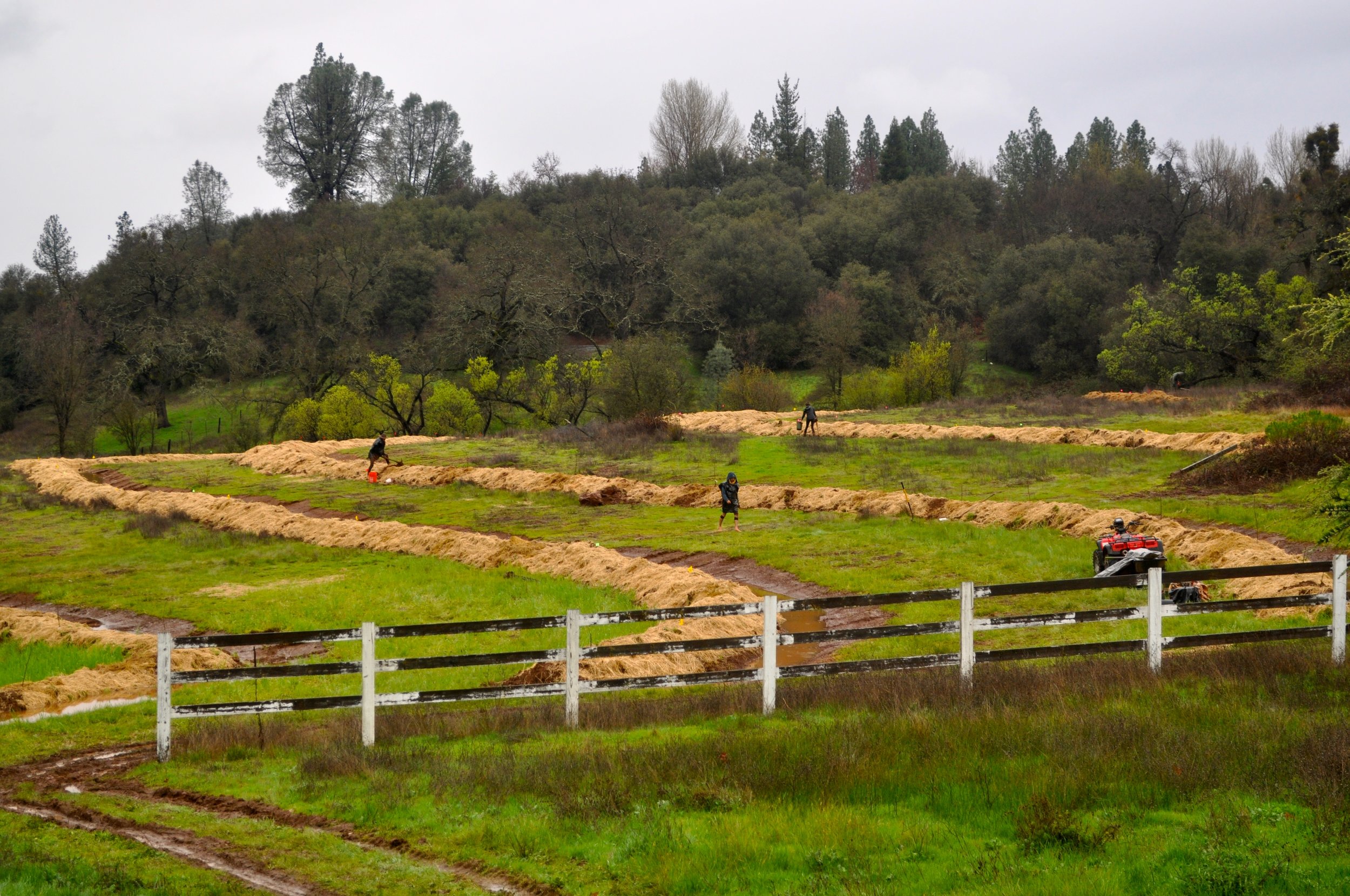 DSC_1088.JPG