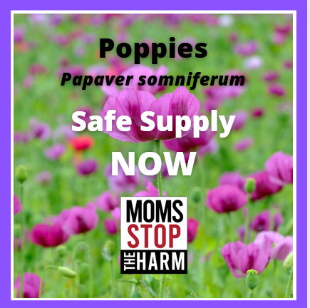 Poppy Seeds for a Safe Supply NOW!