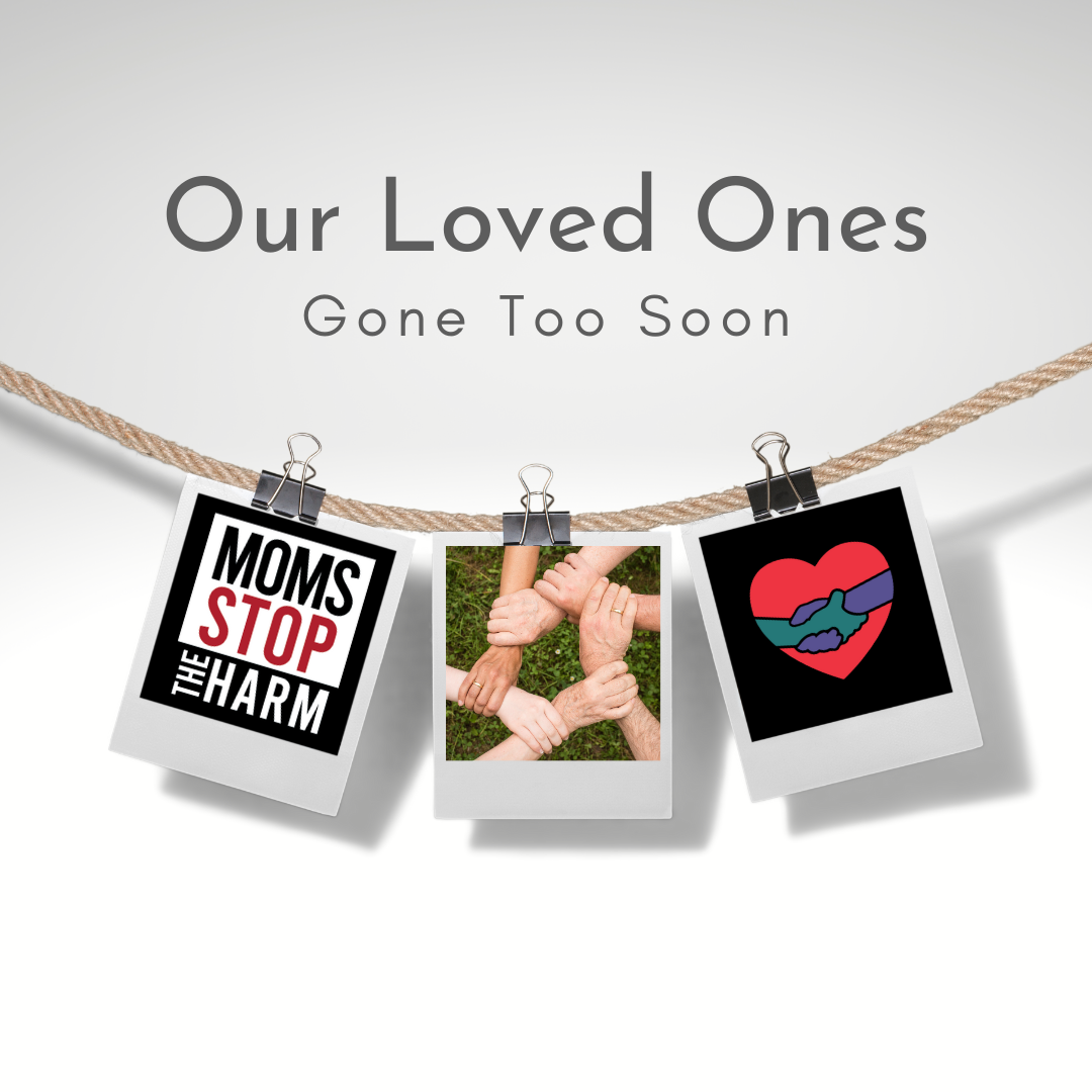 Photo Gallery SEO for Our Loved Ones Page (1).png