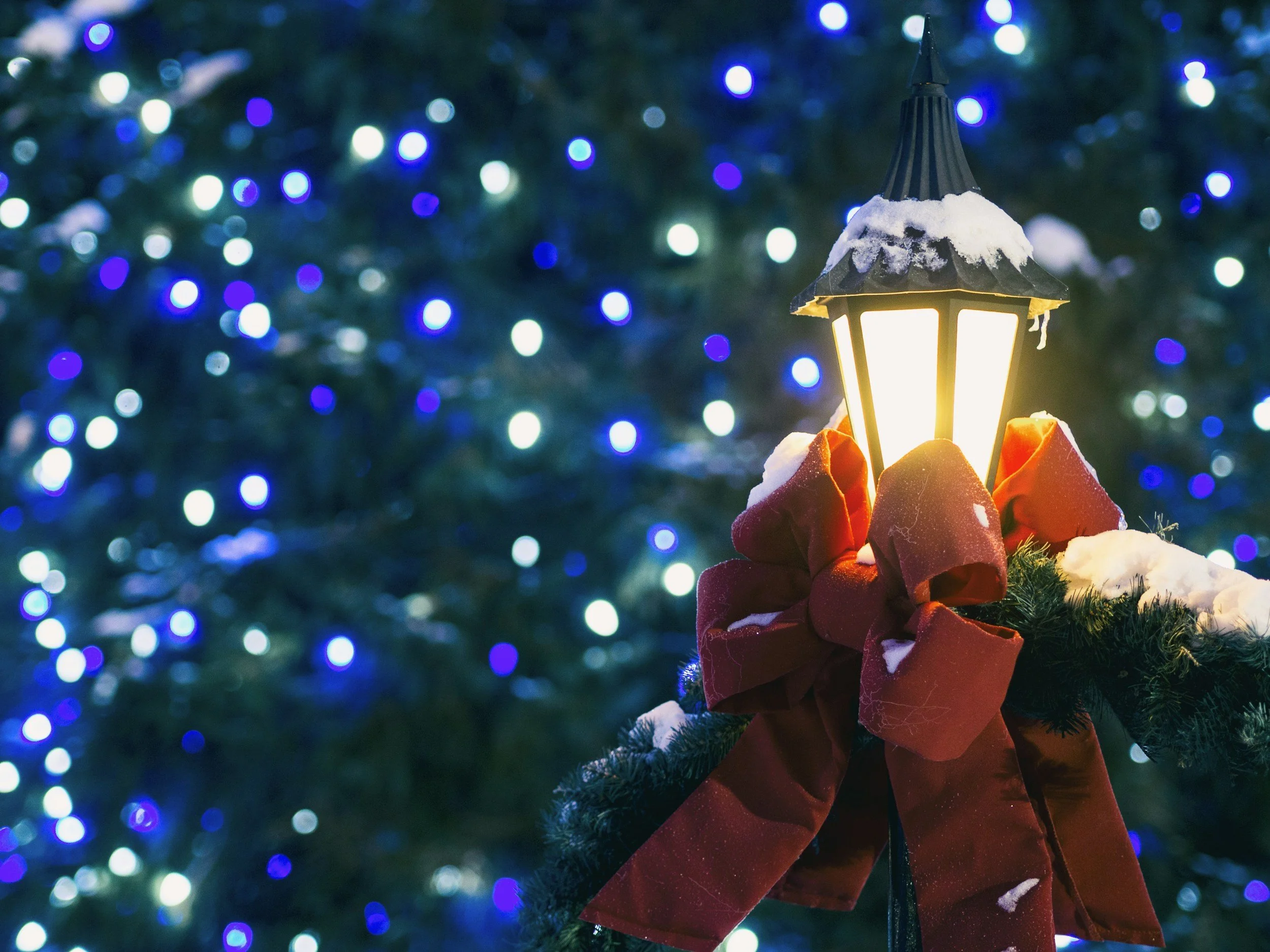 Holiday Message to the MSTH Community, from the Board Chair