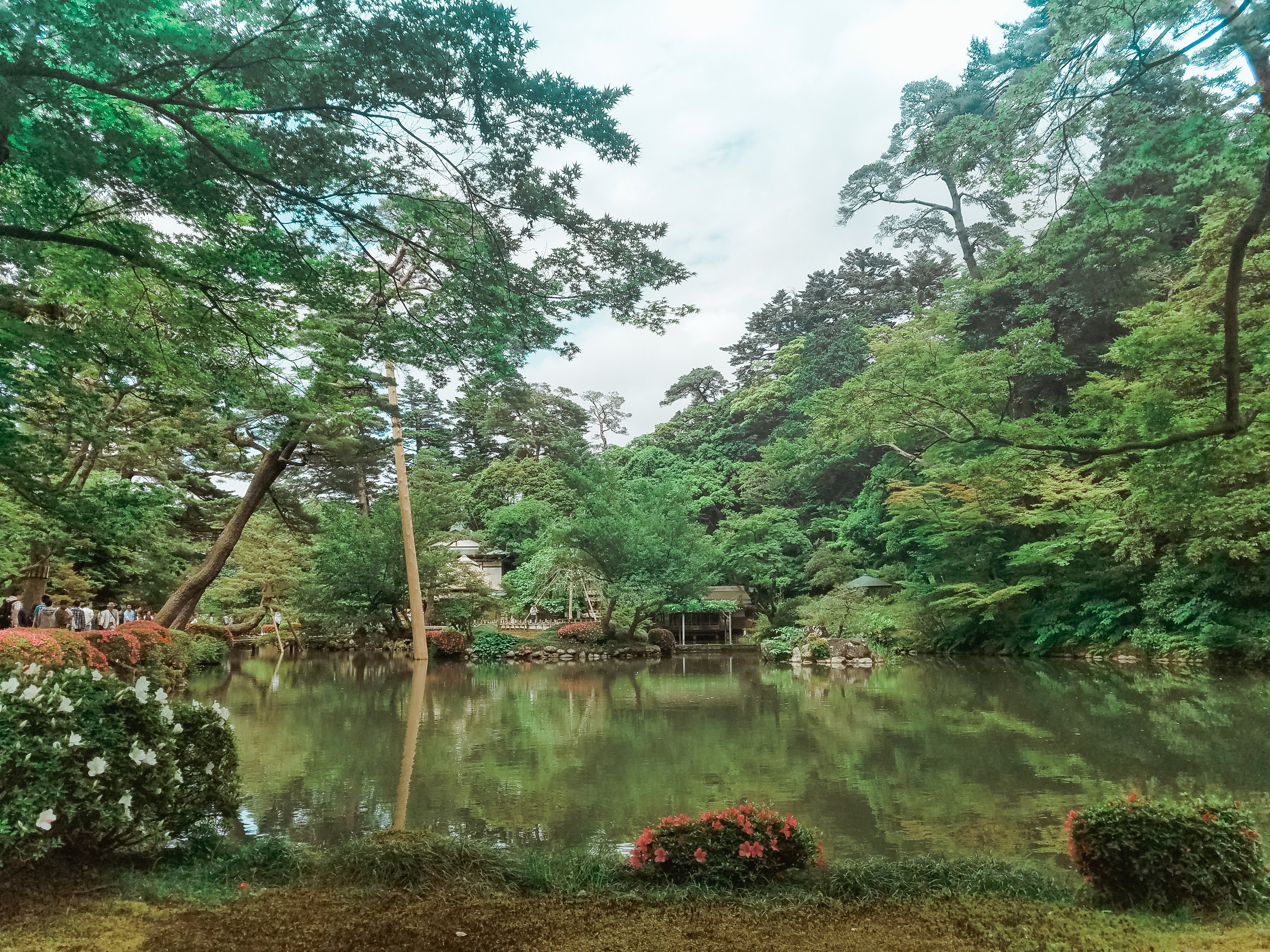 20170602_213022.jpg