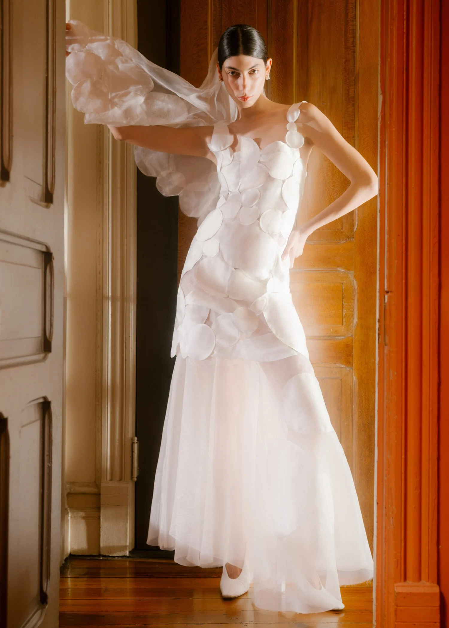 Look—8—The Shapes—View More