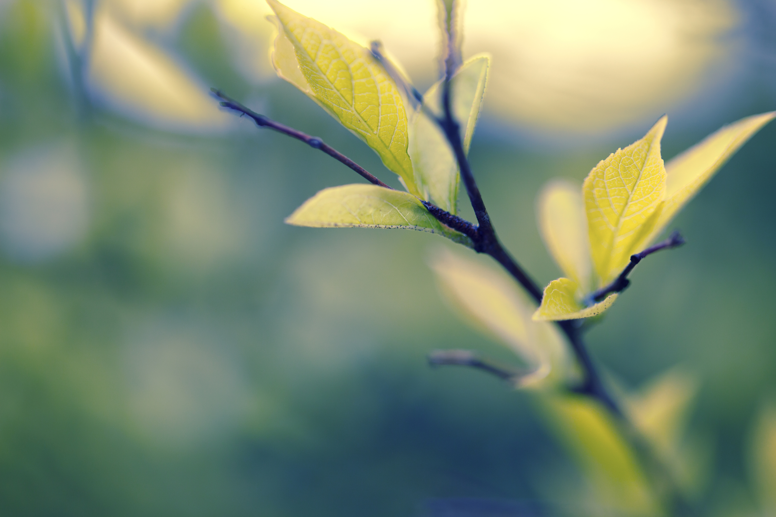 iStock.HomePage.jpg