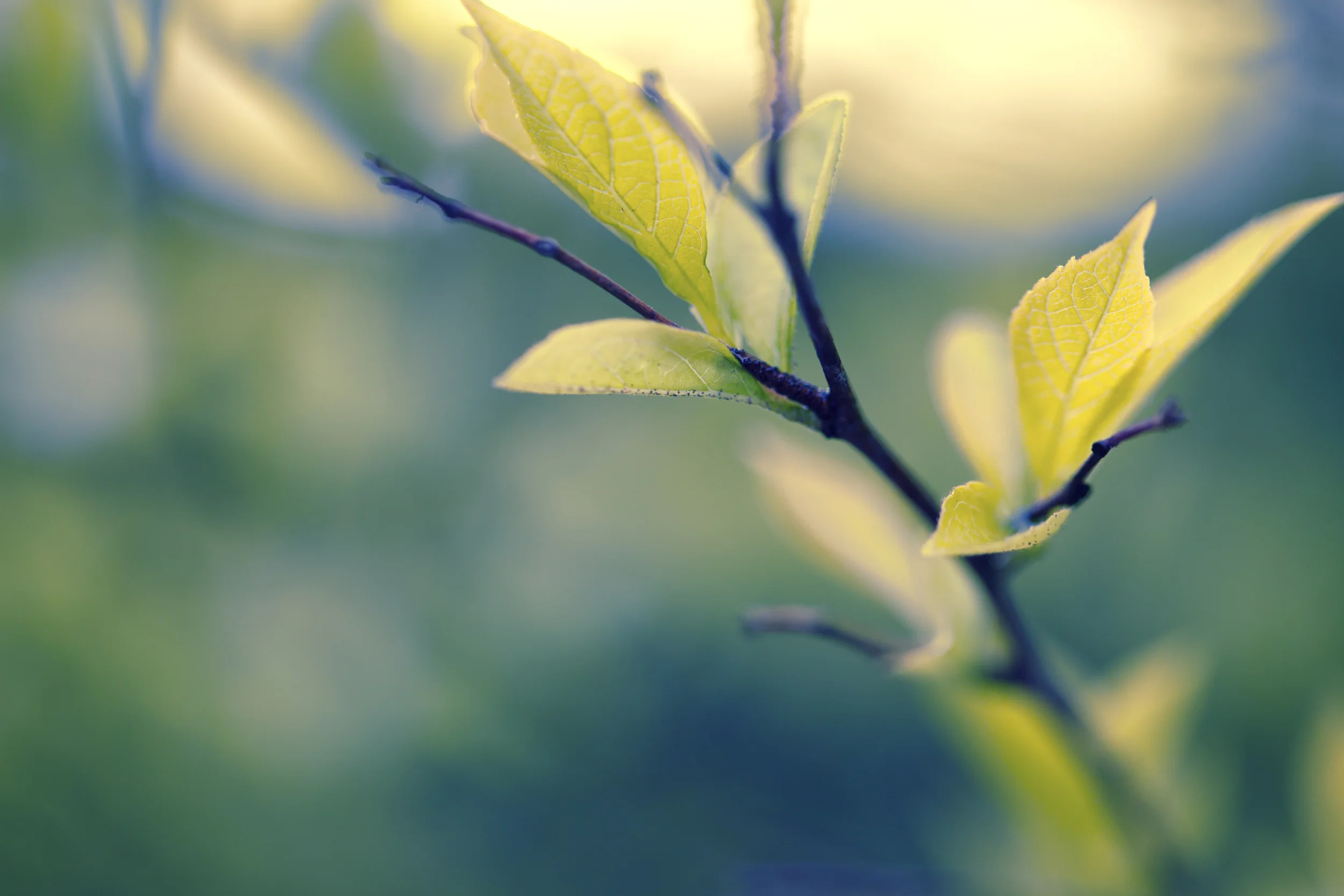 iStock.HomePage.jpg