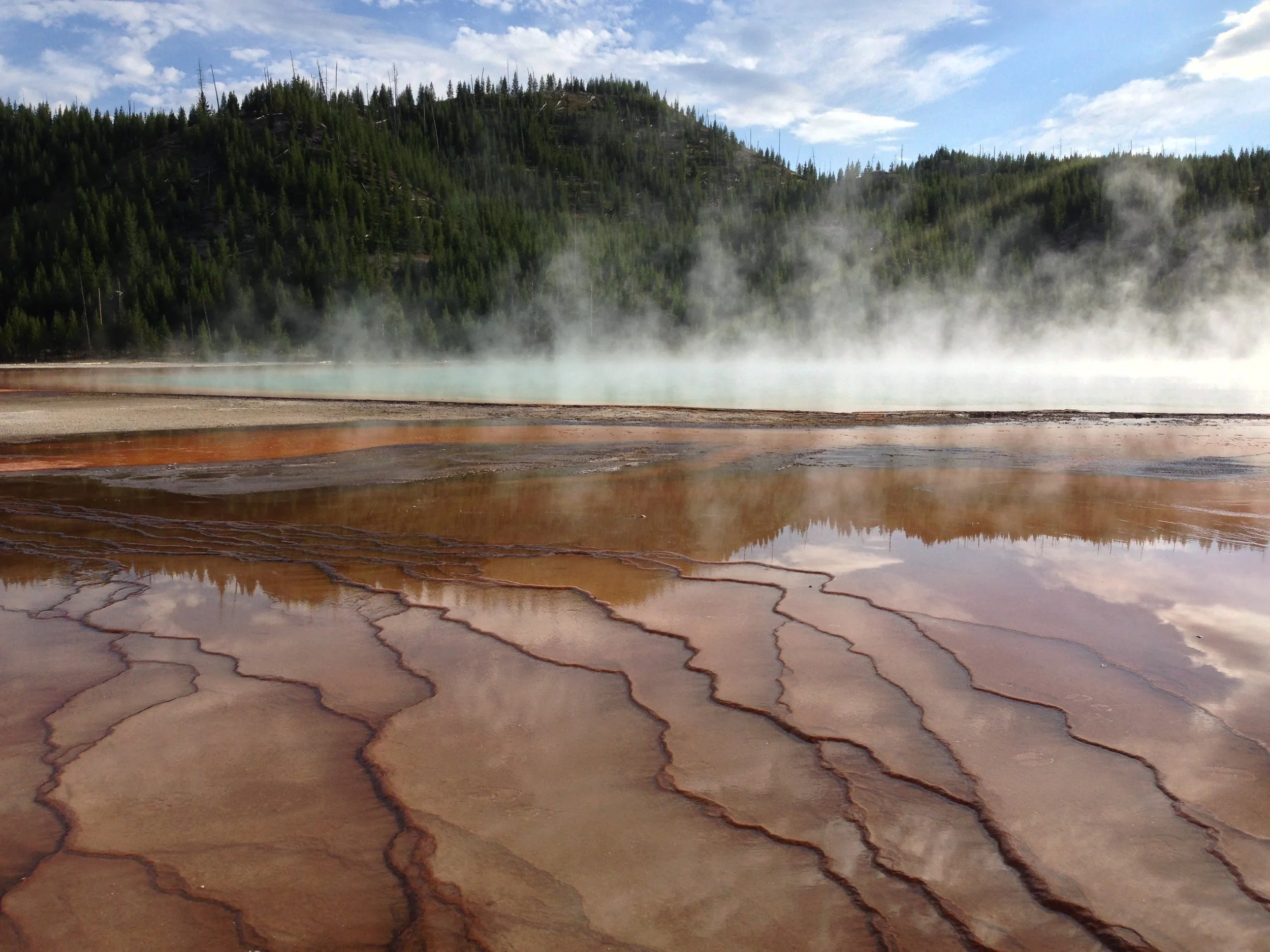 Affection for Place: Re-Enchanting the Classroom