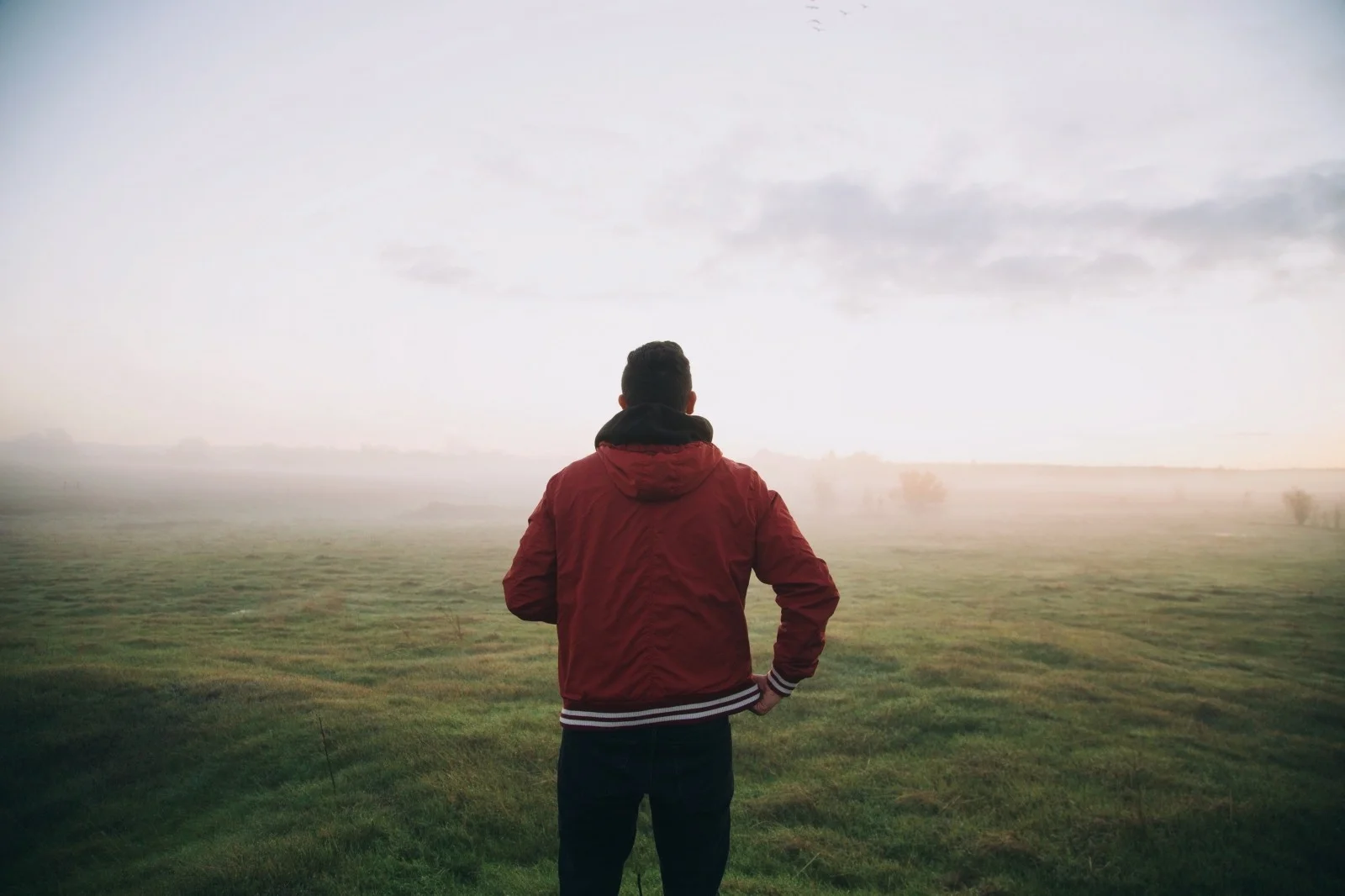 man-standing-in-meadow.jpg
