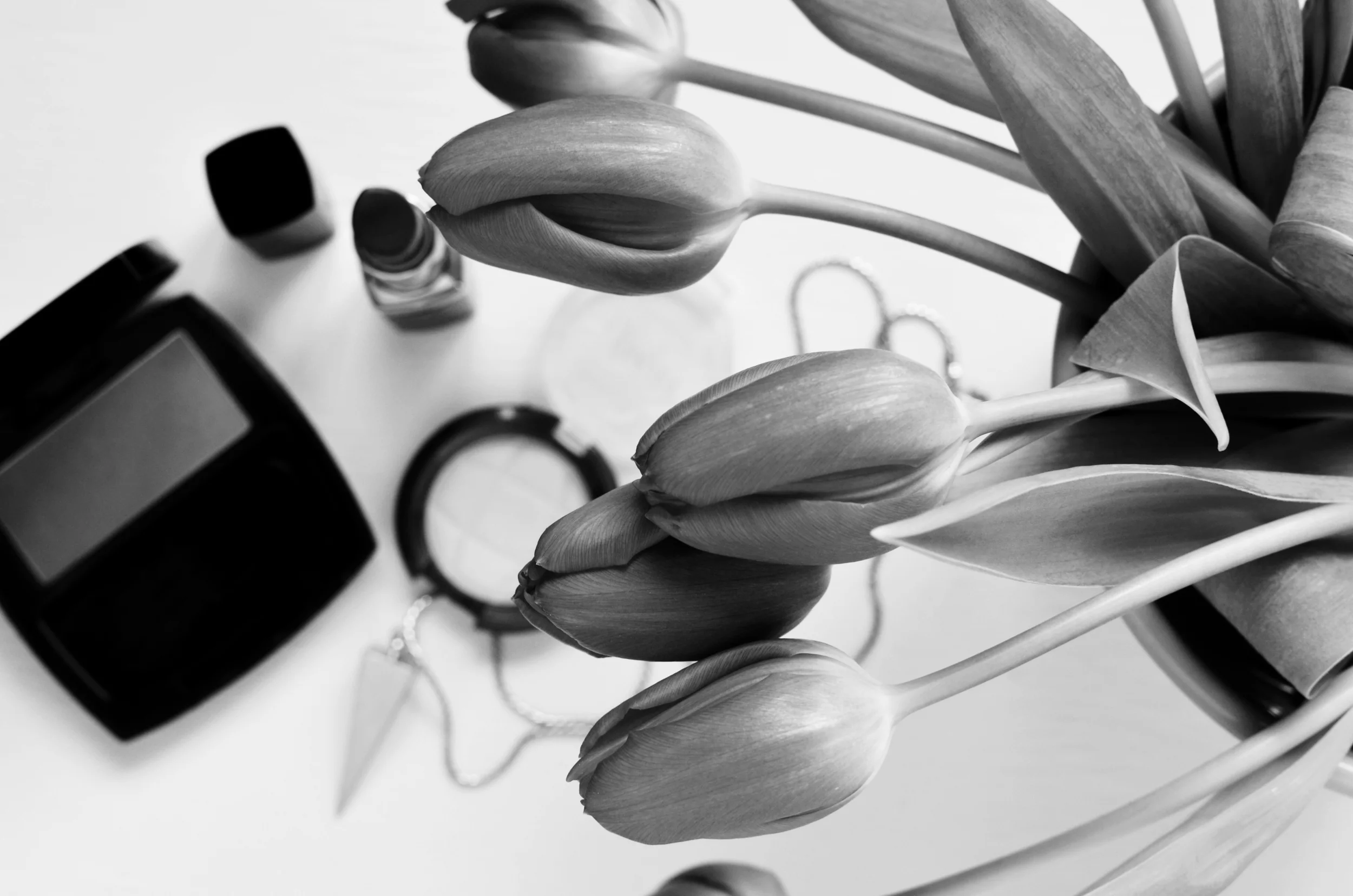 makeup-beauty-lipstick-make-up-bw.jpg