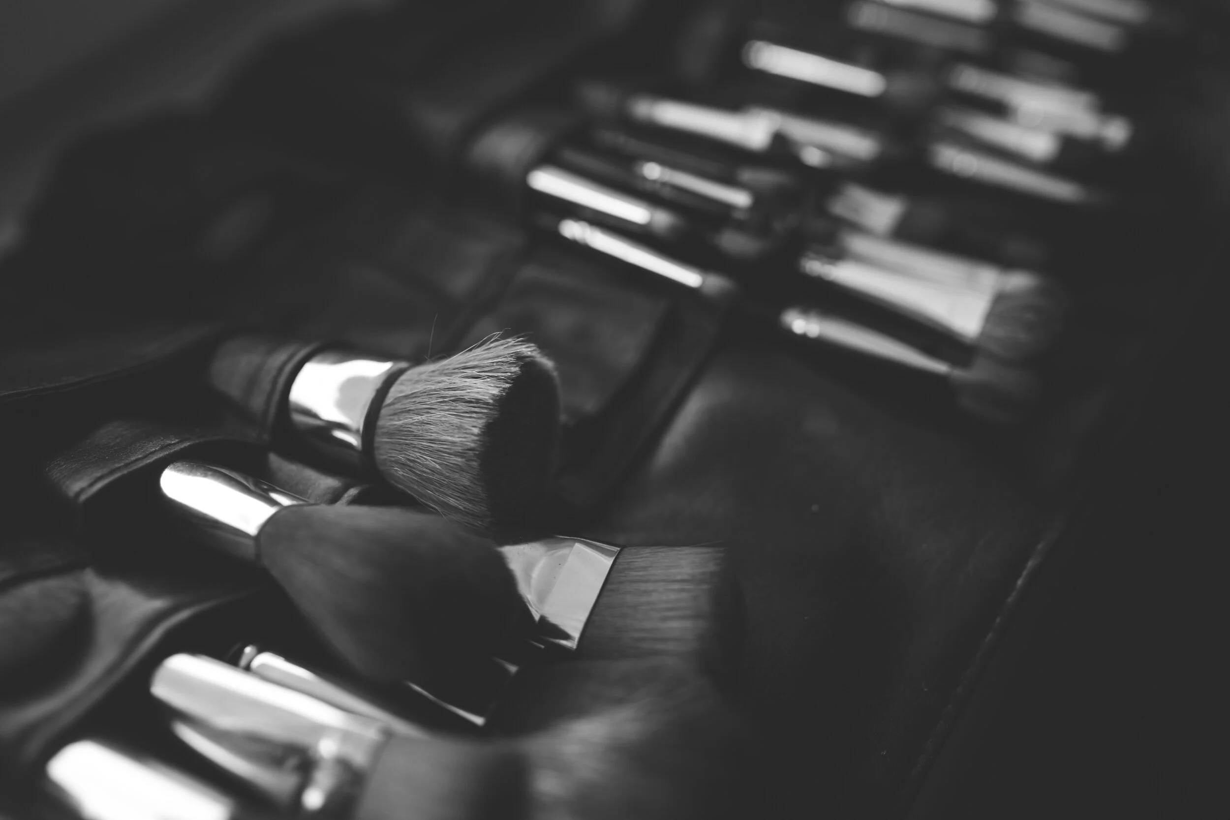 brush-makeup-make-up-brushes-bw.jpg