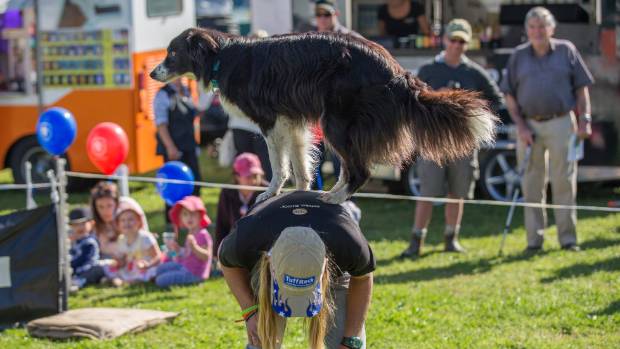 Ultimate Canines Dog Show.jpg