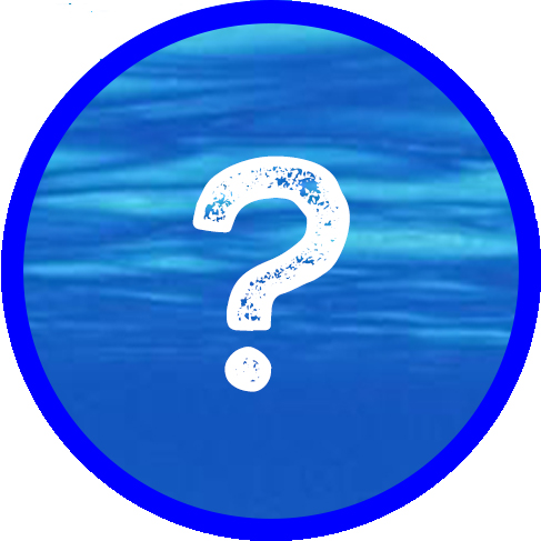 questions.jpg