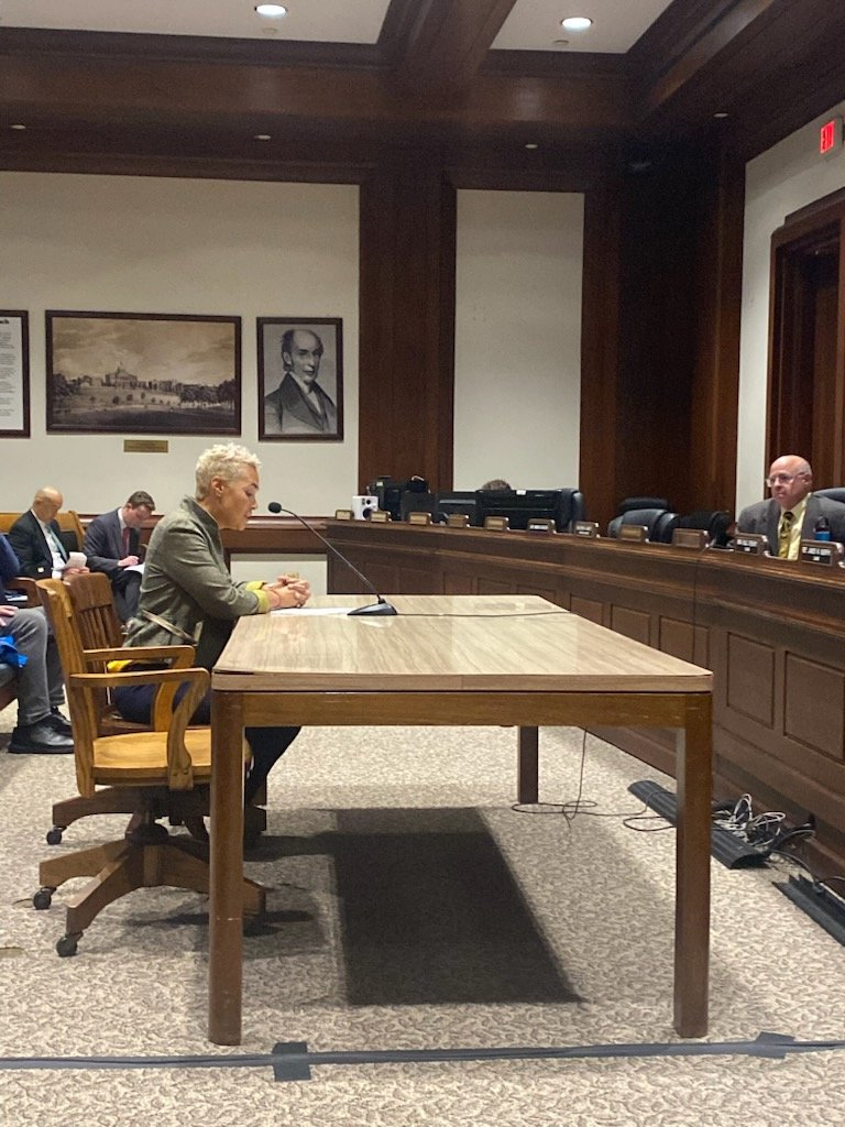 Powerful Hearing on Sustainability for Birth Centers and Midwifery