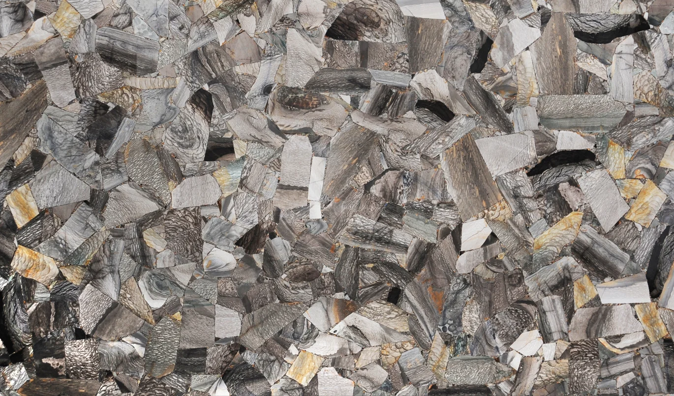Jasper Shellflint Semi-Precious Stone