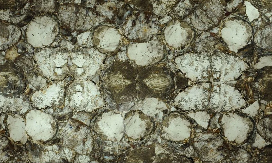 Petrified Wood White