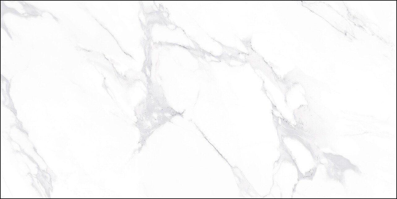 Venus Bianco-4.jpeg