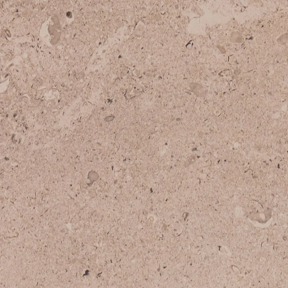Daltile Dignitary 24x24