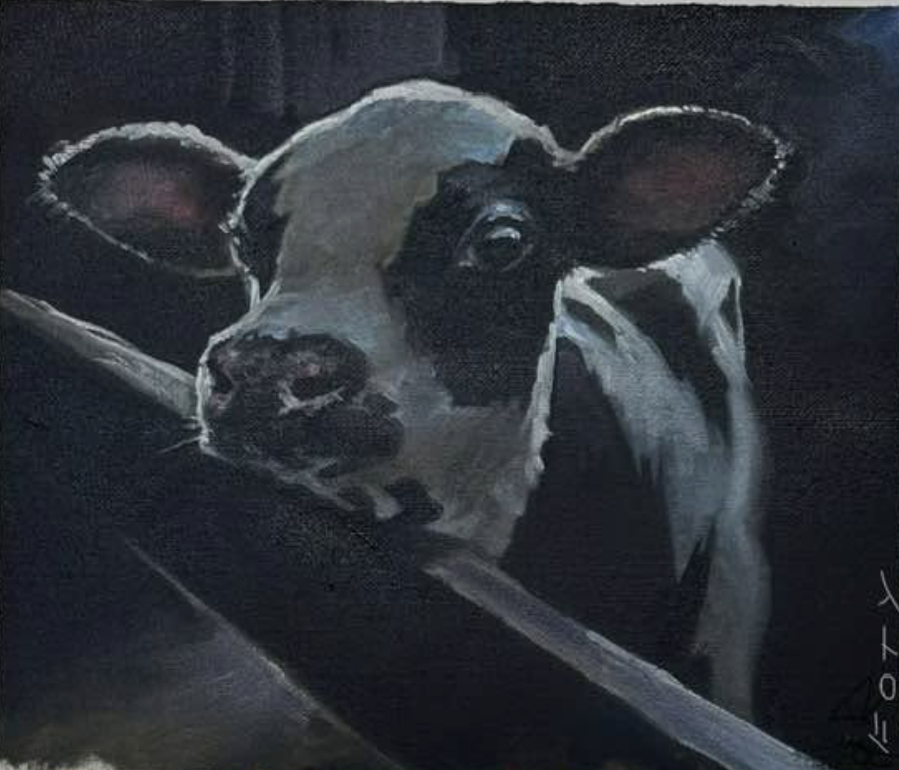 Calf 8"x9" oils Framed
$600