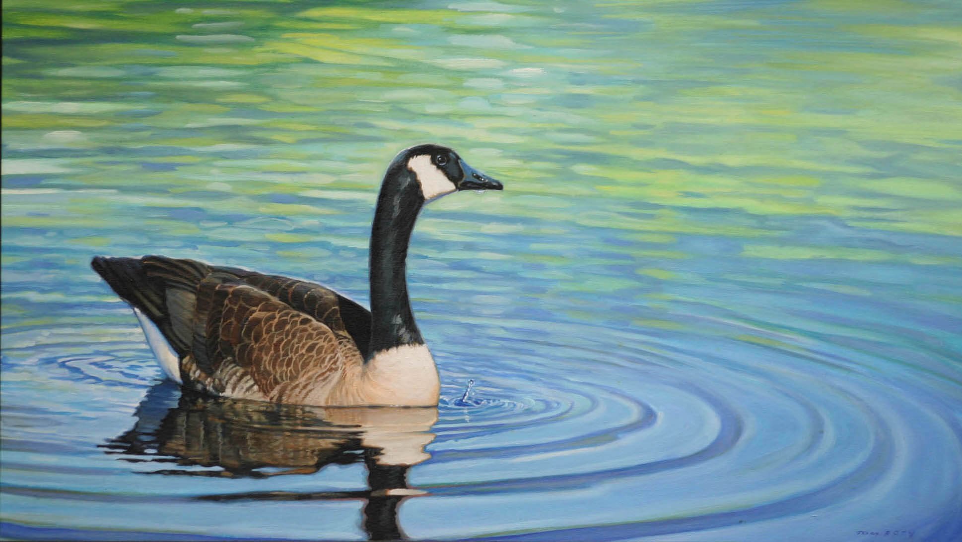 "Canadian Goose", 12.5x22" Framed 18x28"
$1200