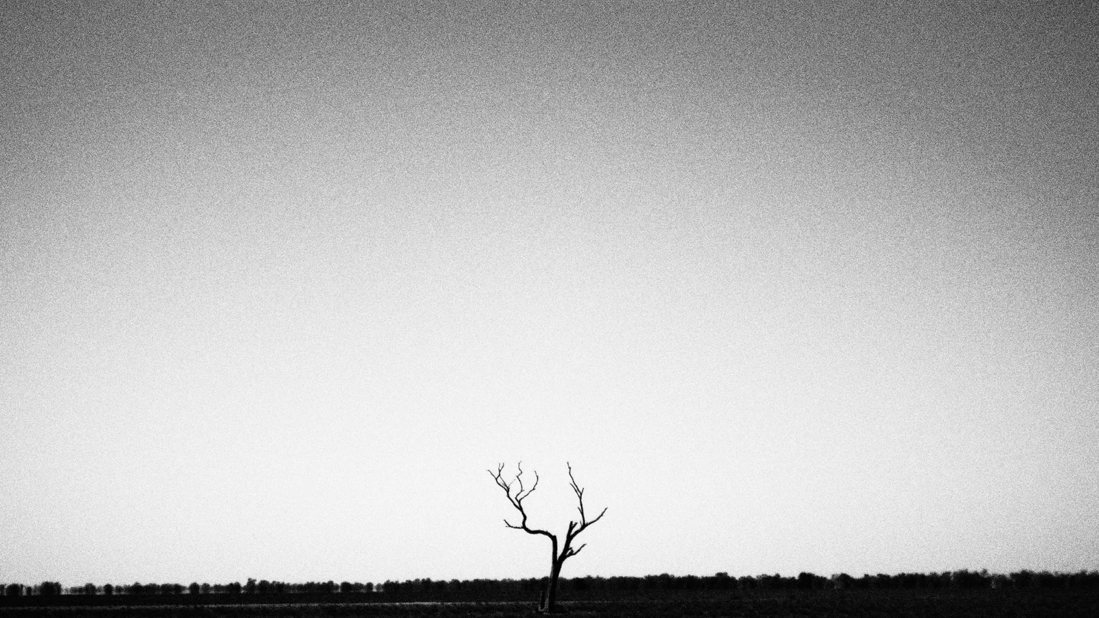 JMPgallery-42.jpg