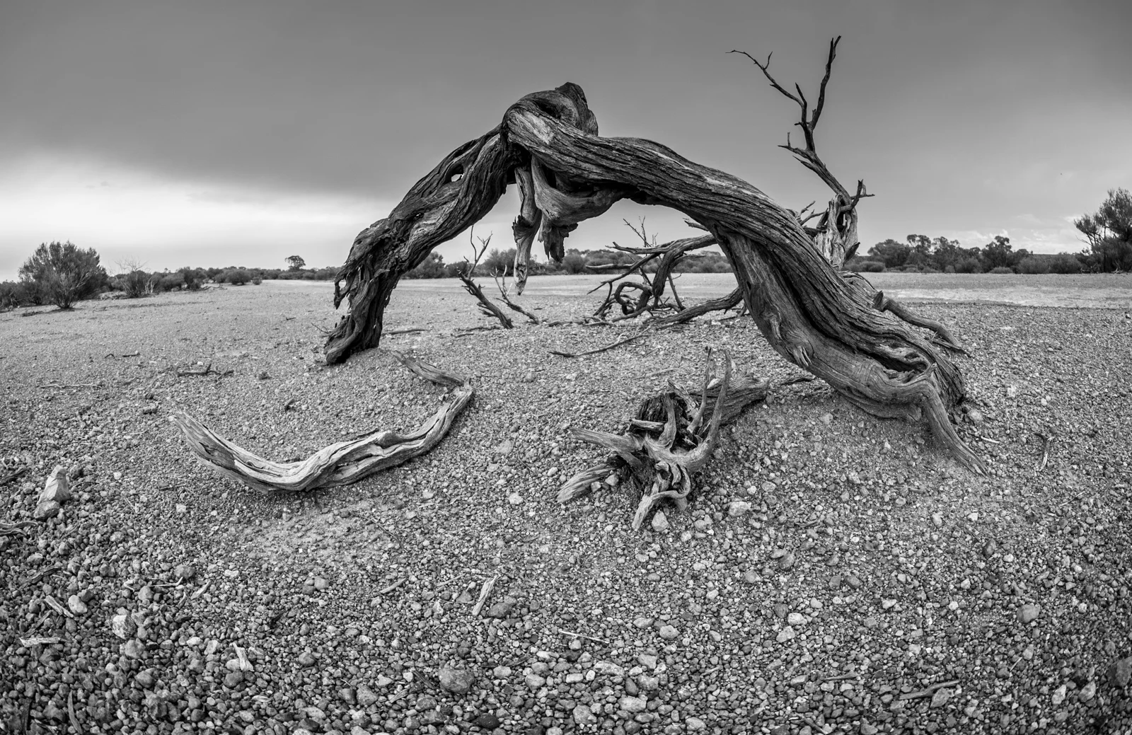 JMPgallery-40.jpg