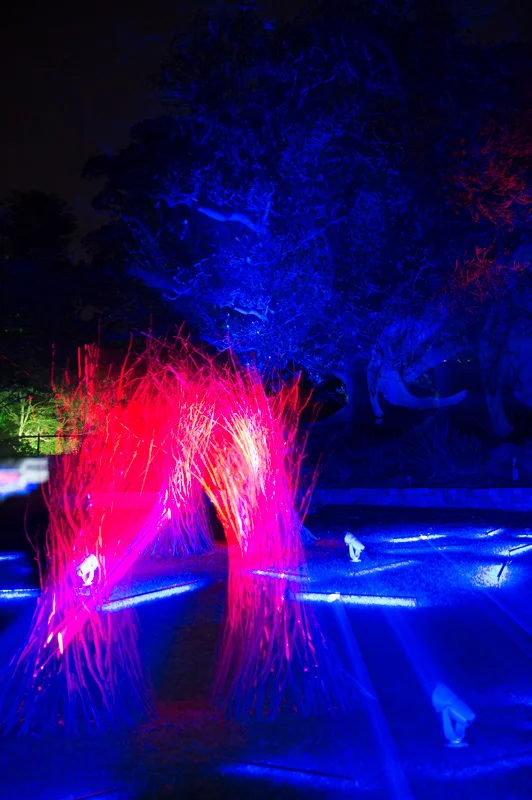  F 2.8  2.5 Sec  ISO 100  EV -1 